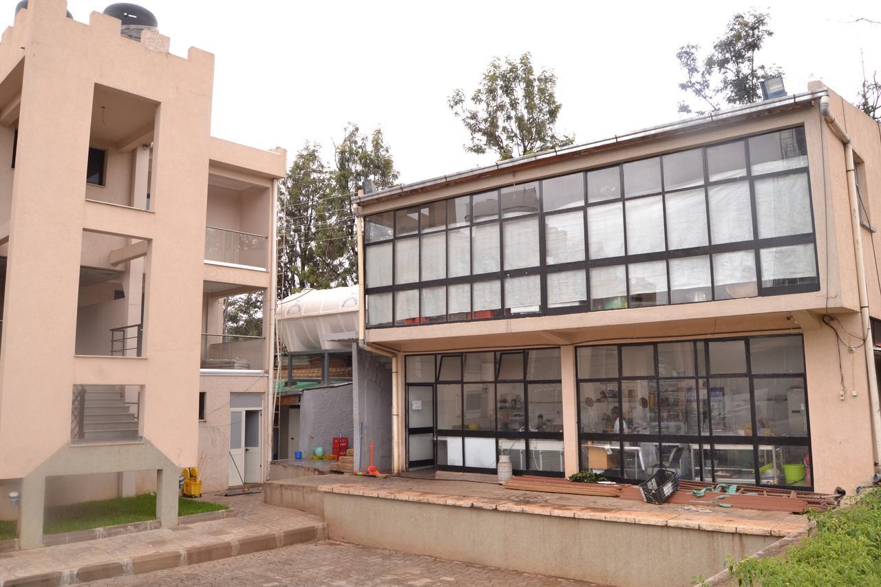 Harar Grand Gato Hotel And Tours المظهر الخارجي الصورة